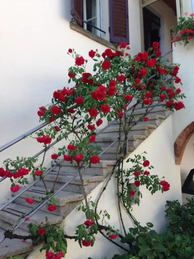 Nocleg ze śniadaniem B&B Casa Delle Rose Antria