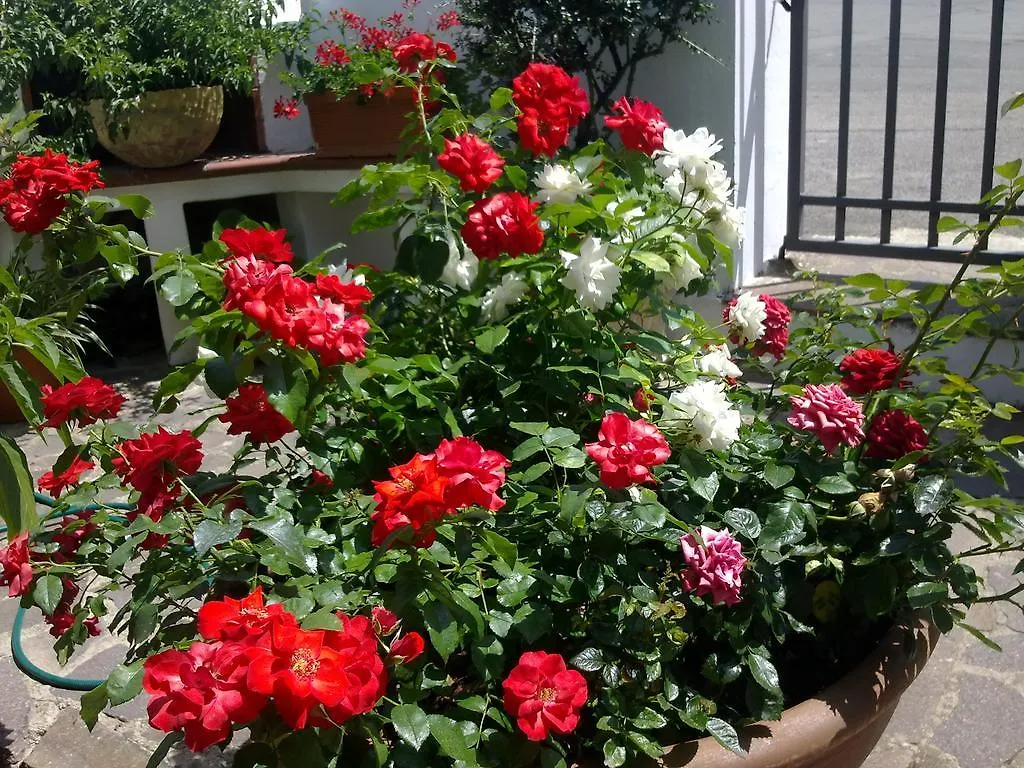 B&B Casa Delle Rose Antria
